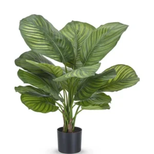 Kunstplant calathea stripes 53 cm